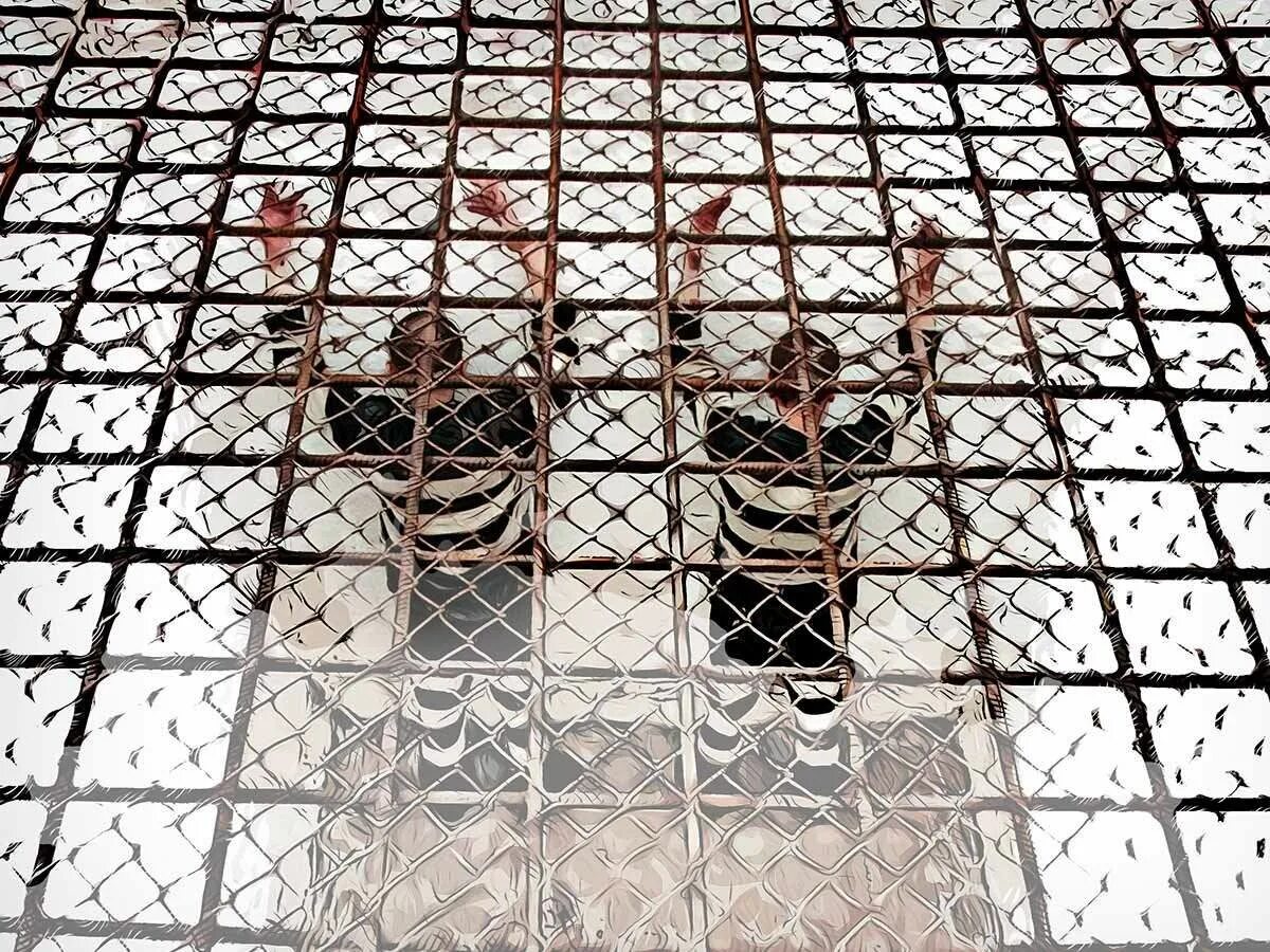 Фку ик-18 «полярная сова». Харп зона полярная сова. Тюрьма харп ик-18. Посёлок харп ямало-ненецкий тюрьма. Колония ик 18 полярная сова.