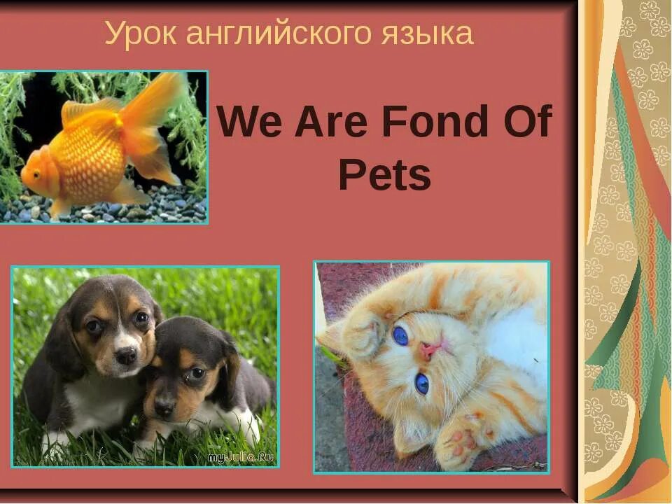 My pet тема. Can your pet. My pet презентация. английский язык 3 класс рассказ о животном. My pet 5 класс.