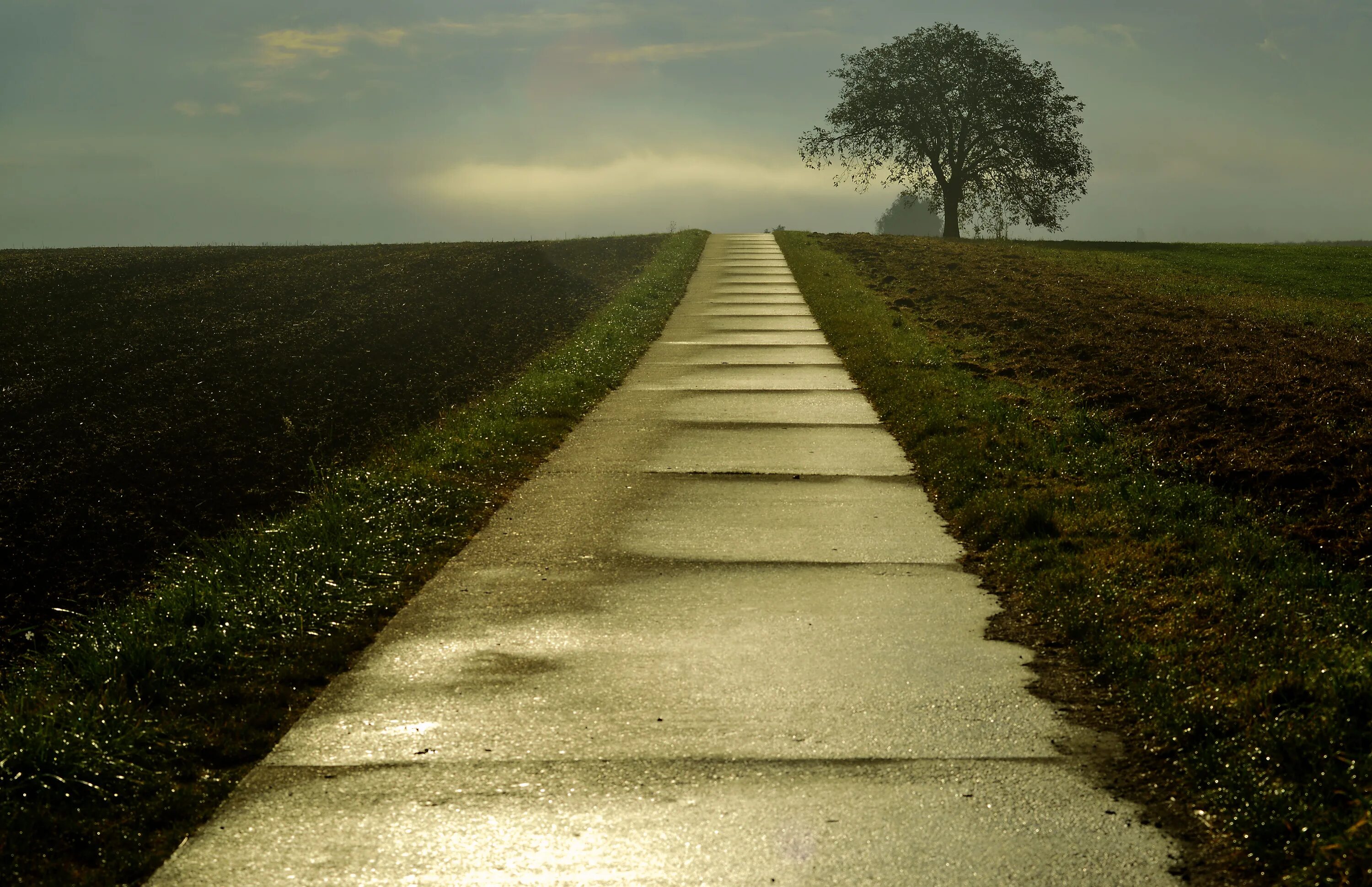 Девушка бежит по полю. Бежит в поле. Девушка поле цветы. Парень в высокой траве. Девушка убегает в поле.