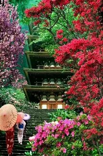 Japan ist