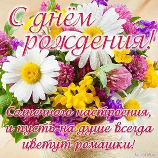 Поздравление с днем рождения с экрана