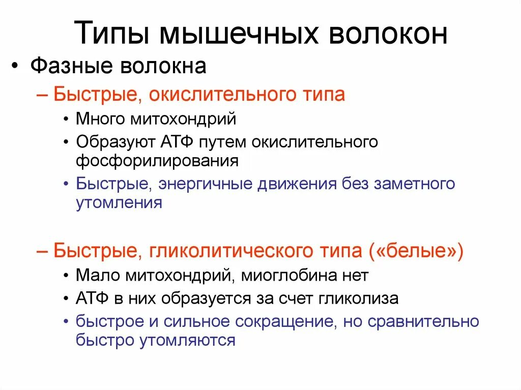 Окислительный тип мышечных волокон. Классификация скелетных мышечных волокон. классификация скелетных мышц физиология. фазные волокна скелетных мышц. классификация волокон скелетных мышц физиология.