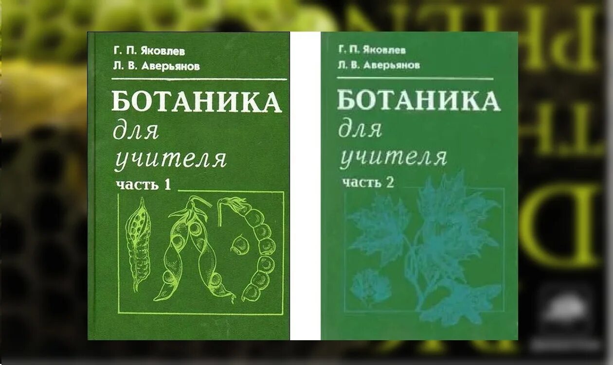 Ботаника для учителя Яковлев Аверьянов. Название: ботаника для учителя. Аверьянова а.п изобразительная деятельность в детском саду. Ботаника для учителя купить.