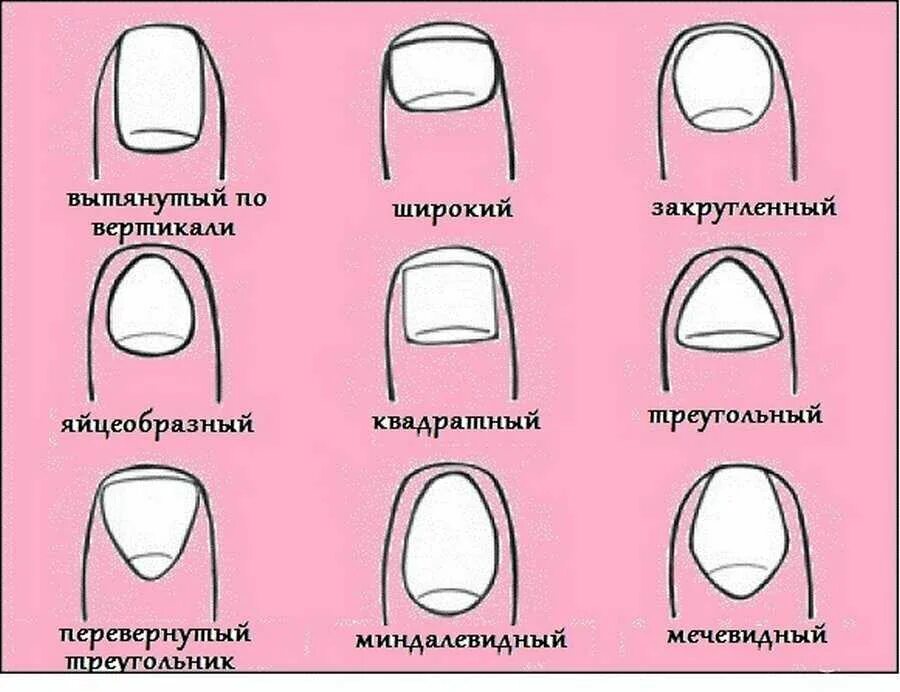 Почему форма ногтей. Форма ногтевой пластины схема. формы ногтей. типы и формы ногтевых пластин. форма ногтей разновидности.