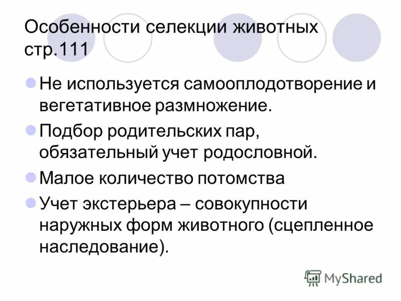 Особенности селекции животных. Иван владимирович мичурин селекция. Примеры подбора родительских пар в селекции. Методы селекции подбор родительских пар. Подбор родительских пар селекция животных.