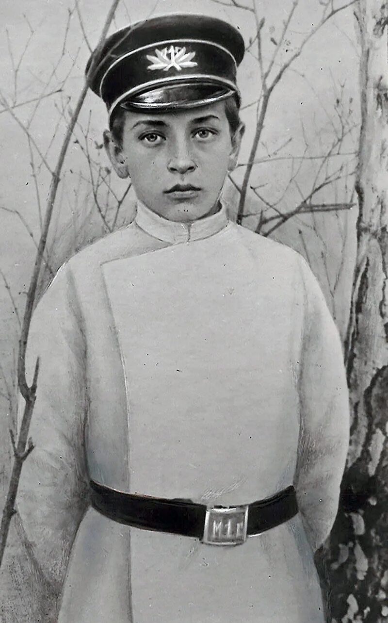 Тухачевский википедия биография. Тухачевский м.н. (1893-1937).