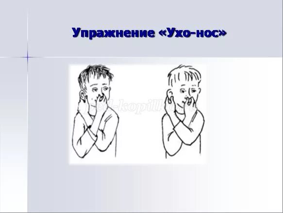 Правой левой носом. Упражнение ухо нос. Кинезиологические упражнения ухо нос. Кинезиологические упражнения для детей ухо нос. Гимнастика для мозга «ухо-нос».