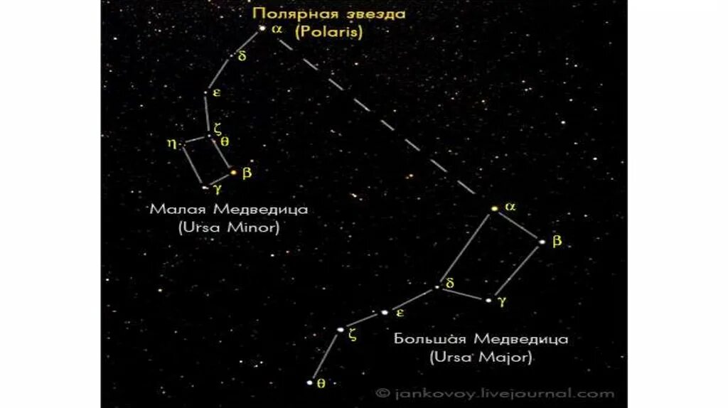 Малая Медведица и Полярная звезда. Полярная звезда в созвездии малой медведицы. Полярная звезда Альфа малой медведицы. Малая Медведица Созвездие схема с названиями звезд. Сколько звезд составляют большую медведицу