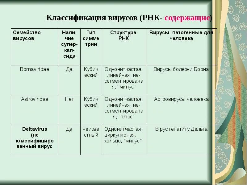 Какой вирус содержит рнк. Семейства вирусов таблица микробиология. Классификация вирусов ДНК И РНК содержащие вирусы. РНК содержащие вирусы классификация. Семейства вирусов таблица.