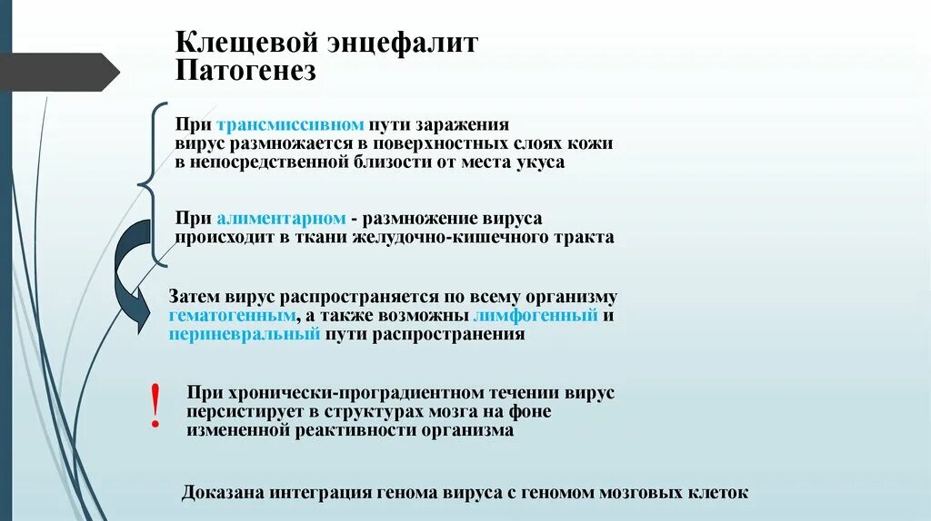 Заразиться вирусом а можно ответ гигтест. Клещевой энцефалит этиология. Клещевойнцефплит патогенез. Патогенез клещевого энцефалита. Вирус клещевого энцефалита патогенез.