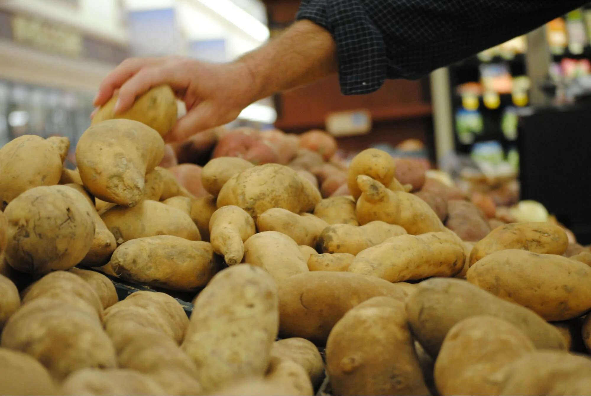 Potato shop