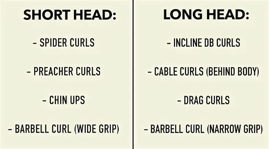 3 класс small head. Small head на русском. Small head. фас фетальный алкогольный синдром. Spotlight 3 животные.