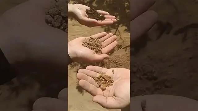 Выбил почву из под