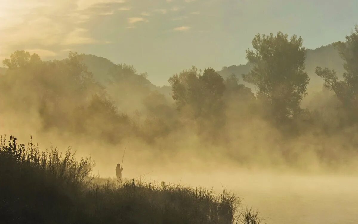 Цвет туманное утро. Туманное утро. Художник пейзажист туманное утро. Раннее утро туман. Туманное утро в яблоневом саду.