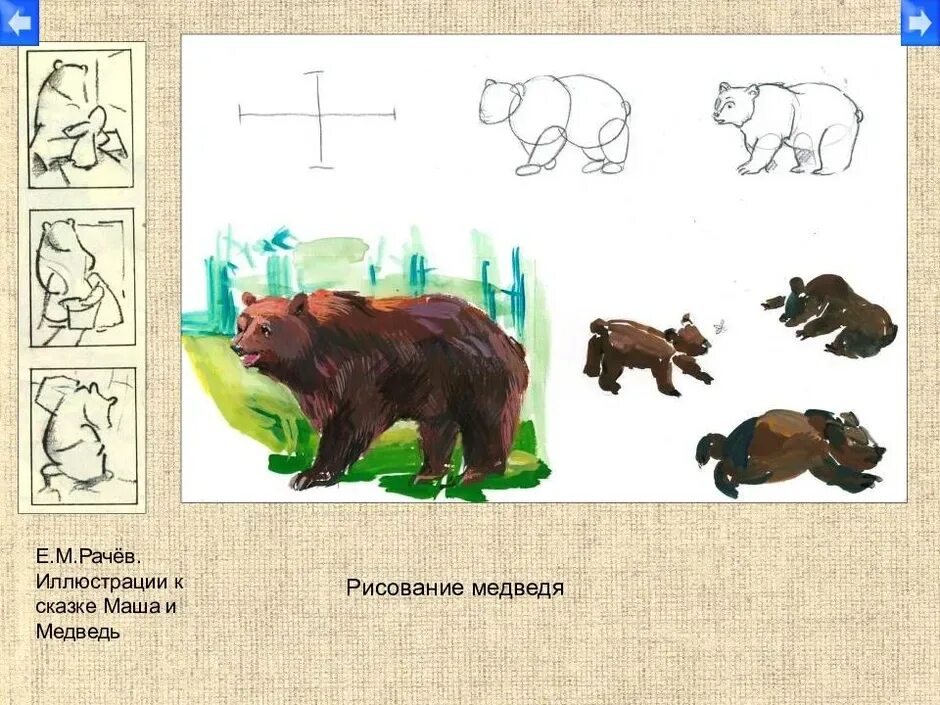 Изобразить характер животного