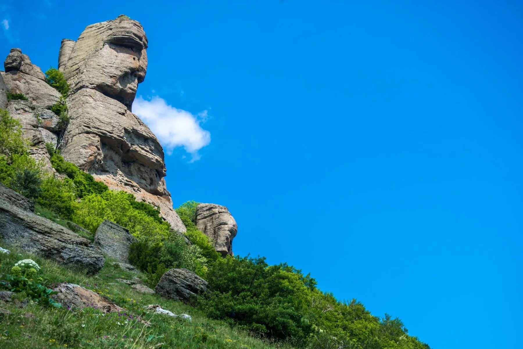 Демерджи Алушта гора. Гора Демерджи в Крыму. Гора Демерджи голова Екатерины. Скала Демерджи Крым. Скала в крыму голова