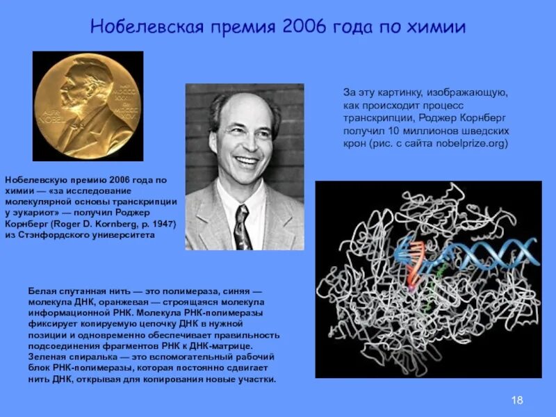 Нобелевская премия по медицине по годам. Корнберг ДНК 2006. Роджер Корнберг Нобелевская премия. Лауреаты Нобелевской премии по химии. Нобелевская премия за исследование.