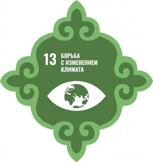 Цель 13