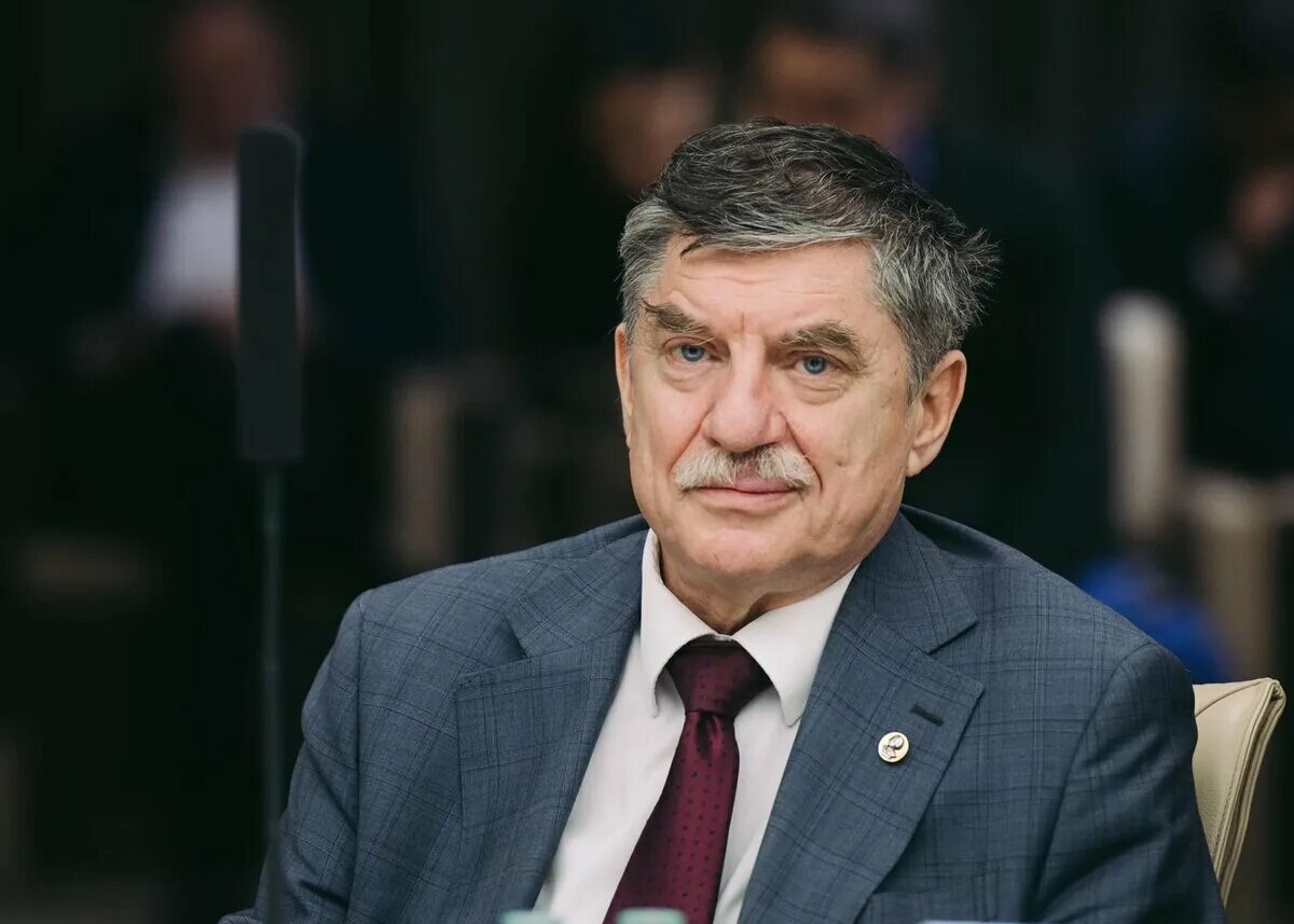 Руководитель информационно аналитического