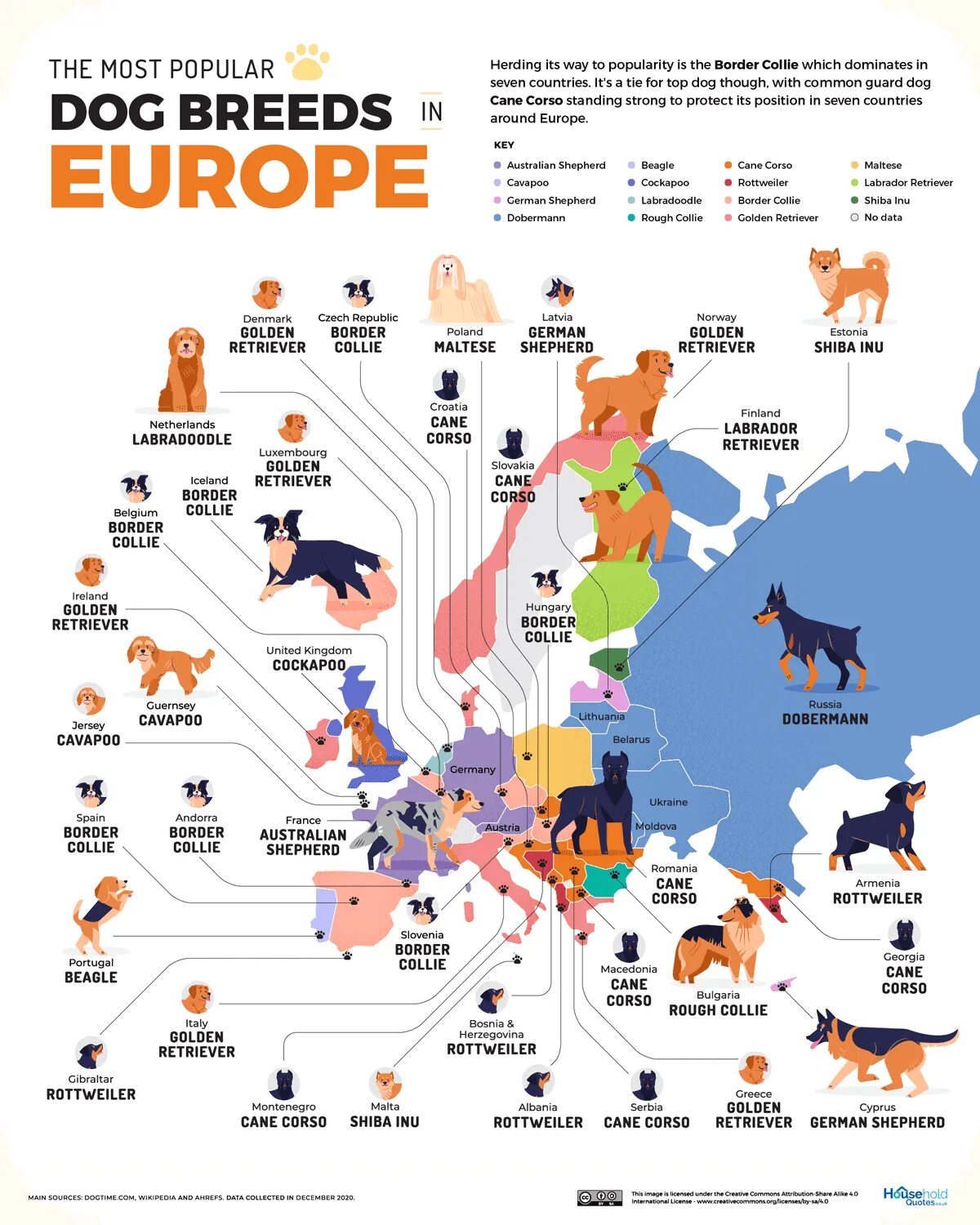 Самые популярные породы собак в Европе. Топ самых популярных собак. Список самых популярных собак в мире. Самая распространённая порода собаки в России. Породы собак стран