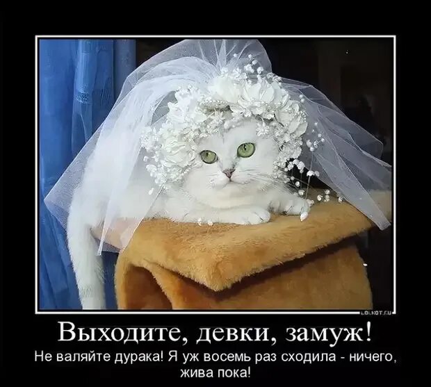 Почему они не вышли замуж. Выйти замуж. приколы про замужество. девки замуж. вышла замуж прикол.