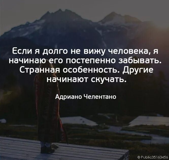 Я долго выбирал что бы почитать. Когда долго не видишь человека. отвыкаешь от человека цитаты. странно другие начинают скучать. странная особенность другие начинают скучать.
