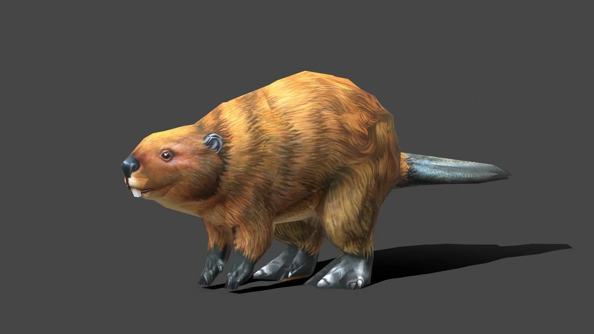 Мод на бобра. Бобр 3d. бобр 3д модель. бобер 3d модель. 3д модель бобра.