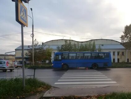 Автобус пешеходный переход
