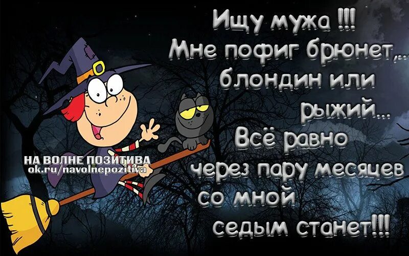 Смешные статусы. Веселые статусы. самые смешные статусы в картинках. статусы прикольные позитивные. картинки одноклассники прикольные в статус.