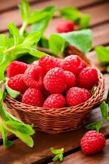 Включи ягодки ягодки вкусняшки