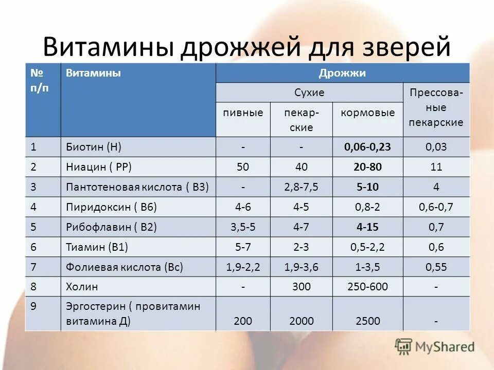 Пивные дрожжи solgar. Дрожжи содержится витамин а. Дрожжи витамины и микроэлементы. Пивные дрожжи состав витаминов. Пивные дрожжи состав витаминов.