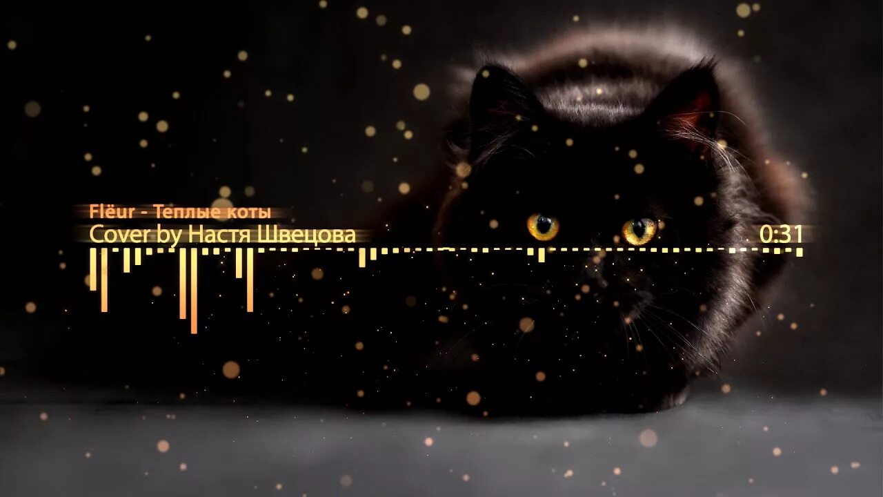 Теплые коты flеur. Тёплые коты flёur. флер теплые коты. fleur теплые коты обложка. тёплые коты flёur обложка.