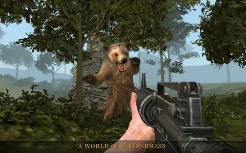 Игра вилд хантер