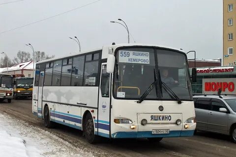 Автобусы яшкино
