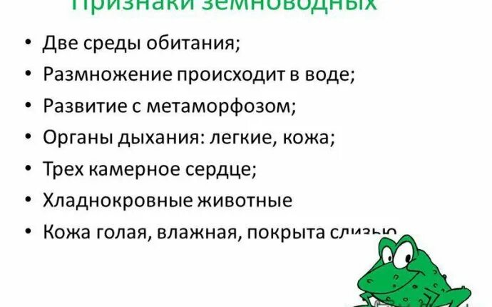 Роль слизи земноводных. Признаки земноводных. Признаки земноводных животных. Характерные признаки земноводных. Отличительные признаки земноводных.