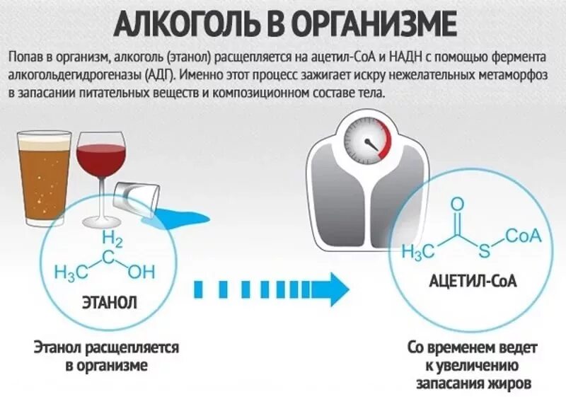 Во время лечения употреблять. Алкоголь. алкогольные напитки. можно ли употреблять алкоголь.