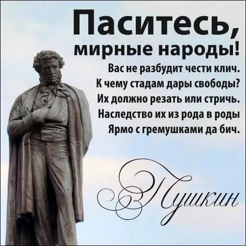 Свободы сеятель пустынный пушкин. К чему стадам дары свободы. Стихотворение пушкина паситесь мирные народы. Пушкин пасись народ. Паситесь мирные народы вас не разбудит чести клич.