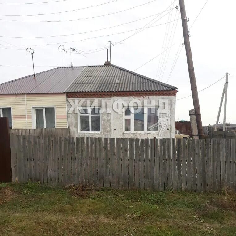 Село новотырышкино новосибирская область. Новотырышкино новосибирская область. Новотырышкино, ул. Чиганаки волгоградская область. Погода в новотырышкино колыванский новосибирской.