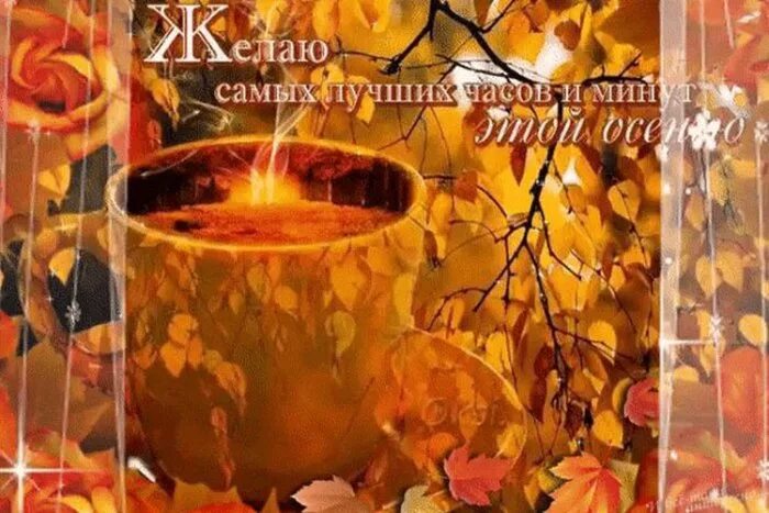 Доброго теплого осеннего дня. Хорошего дня и теплой осени. Хорошего солнечного осеннего дня. Осеннего тепла и хорошего настроения
