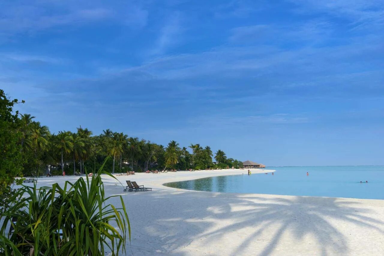 Cocoon maldives. Отель cocoon maldives 5. кокон мальдивы. мальдивы кокон кокон мальдивы. cocoon maldives 5* (лавиани атолл).