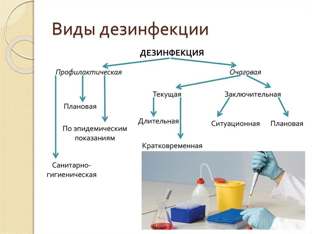 Виды дезинфекции тест ответ. Виды дезинфекции тест ответ