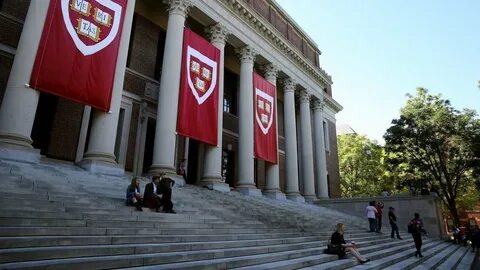 Harvard university course
