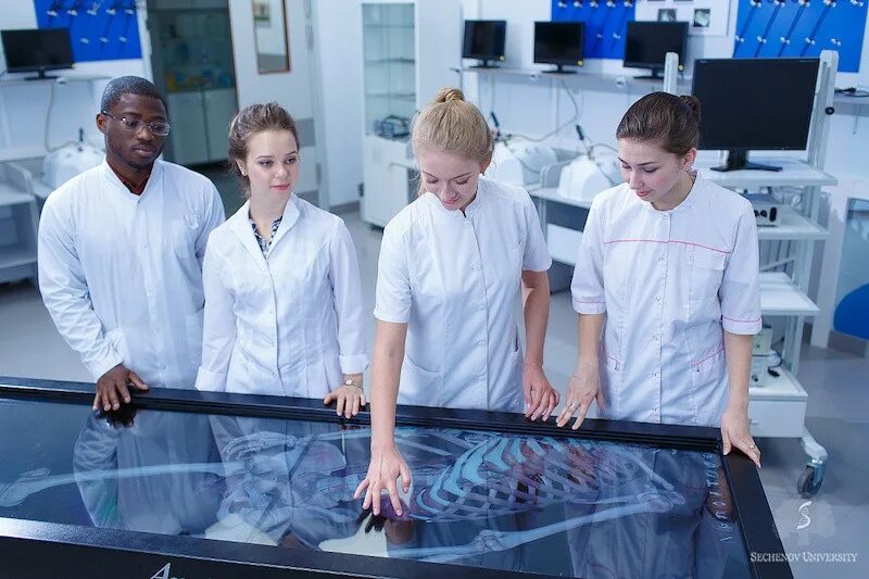 Медицинский сеченовский предуниверситарий. Курсы в сеченово. Брянский сеченовский предуниверсарий. Аудитория в университете. М.