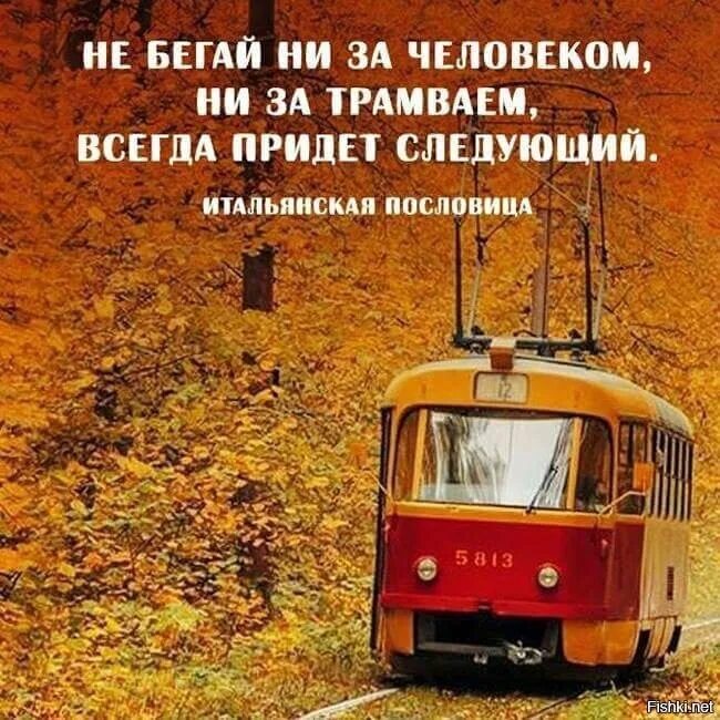 Приходи в следующий раз. Цитаты про трамвай. поговорка про трамвай. люди как трамвай всегда придет следующий. афоризм про автобус.
