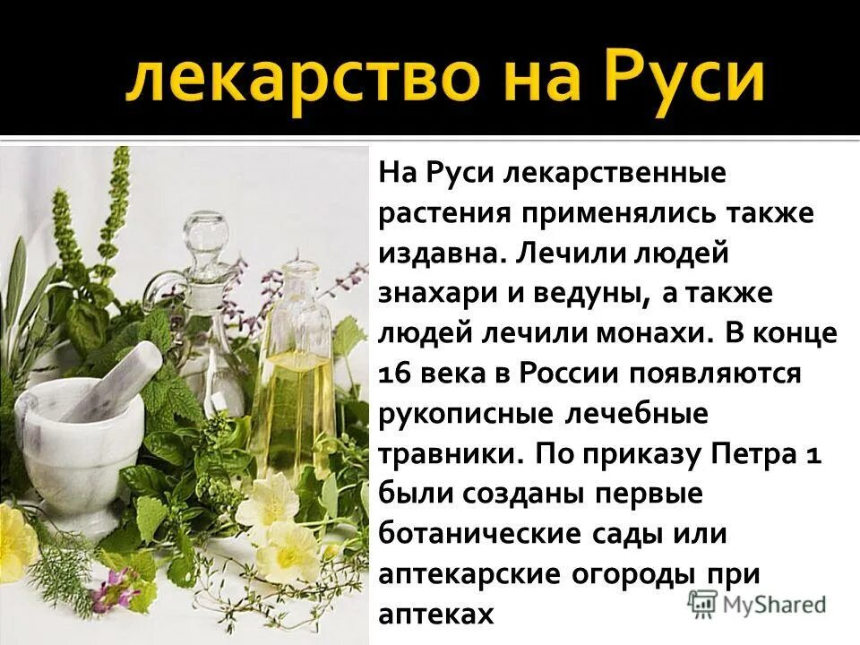 Лекарство какое число. Лечебные растения на Руси. Лекарственных травы для человека. Лечебное полезное растение на Руси. Растения которые нас лечат.