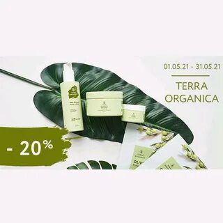 Terra перевод