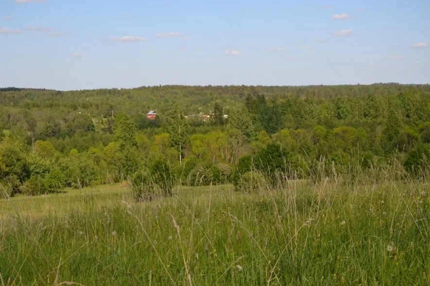 дачный посёлок мошково. никольское белгородская обл ул студенческая. участок 100 соток. 100 соток фото. село лопатки рамонского района воронежской.