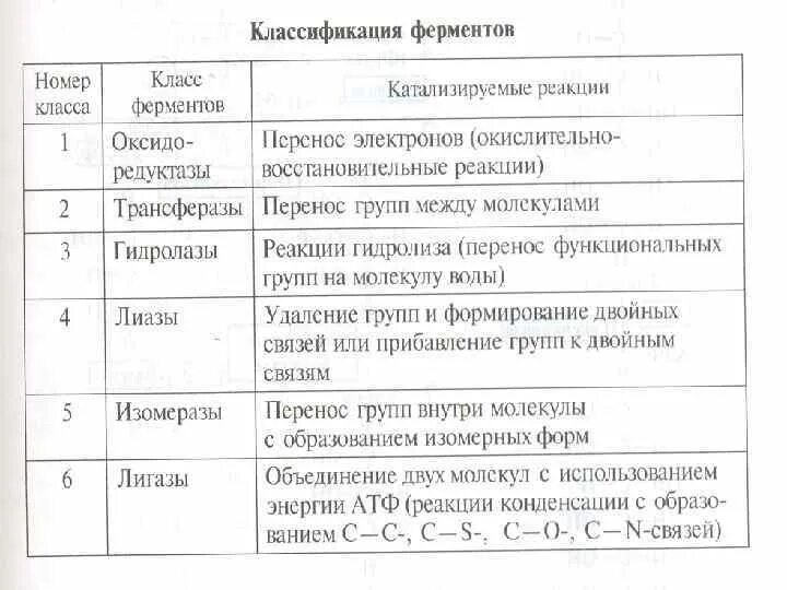 6 классов ферментов. Оксиредуктазы классификация. Редуктаза класс ферментов. Редуктазы класс ферментов таблица.