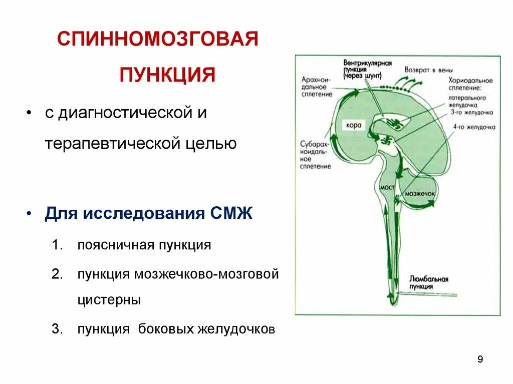 Какое значение имеет спинномозговая жидкость. Люмбальная пункция смж. пункция мозжечково-мозговой цистерны. спинномозговая пункция с целью диагностики. пункция спинномозговой жидкости.