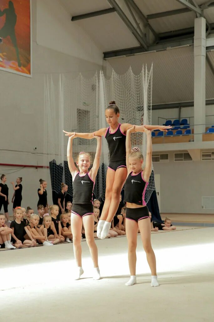 спорт школа воронеж. резонанс эстетическая гимнастика воронеж. лагерь спортивный 18 спортшкола воронеж. 103 школа воронеж. спорт школа воронеж.